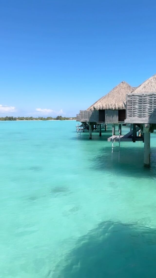 The @fsborabora isn’t just for honeymooners….it’s actually perfect for families too! 

🛖 Private bungalows where you can jump from your deck into the ocean! 
🍲 Kids menu at all restaurants 
🧸 Kids Club and teens club
🛶 Water activities like snorkeling, paddle boarding, and sandcastles

#borabora #fsborabora #luxuryfamilytravel #letsgo #luxurytraveller #travelblogger