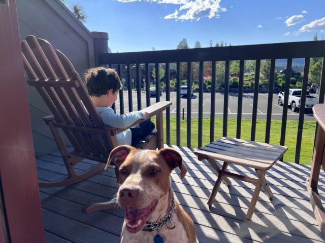 Someone is happy we decided to take a dog-friendly vacation!

#havedogwilltravel #dogfamily #takethedog #familyvacay #sunriver #oregon